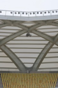 Arena da Amazônia: Stadiondach, einzelnes Feld