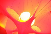 Pentulum, roter Baum 3