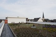 Rüdesheimer Platz: Extensive Dachbegrünung