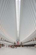 WTC Oculus: zentrale Halle, achsial, Hochformat