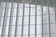 WTC Oculus: zentrale Halle, Untersicht der Dachverglasung