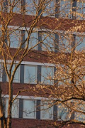 WiSo-Fakultät, Köln: Nordansicht, Fassade hinter Bäumen