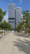 In front of "Pauline im Europagarten": FAZ Tower without construction cranes