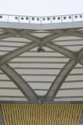 Arena da Amazônia: stadium roof, single unit