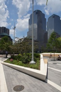 Liberty Park: view of planter-top