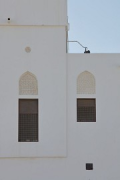 Omani French Museum: façade with mashrabiya-windows, fig. 4