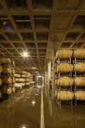 Schneider vineyard: barrique-cellar