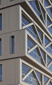 Patch 22, Amsterdam; Höchstes Holzgebäude der NL