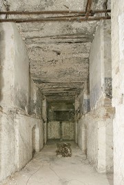 Mittelachse im Kellergeschoss, Blick nach Ost