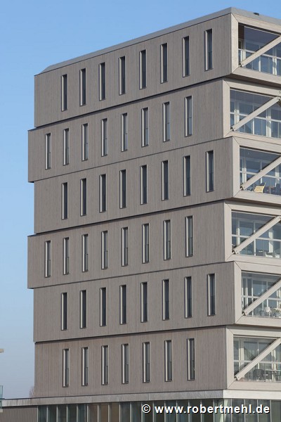 Patch 22, Amsterdam: north-western façade, timber-construction