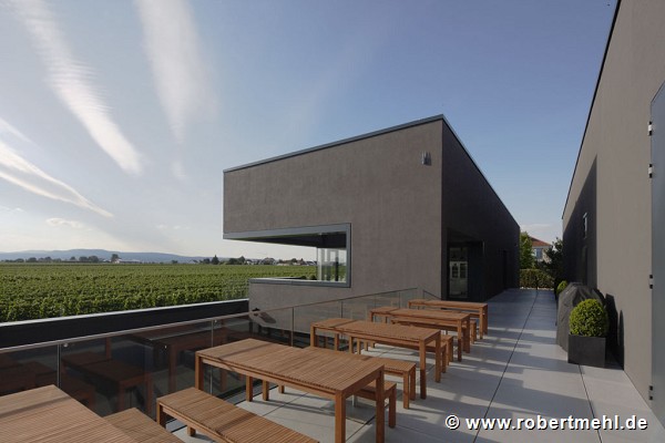 Schneider vineyard: view of "Loft"-hall, pict 1