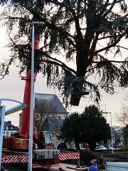 Ablage des Baumes mit Ponttor im Hintergrund