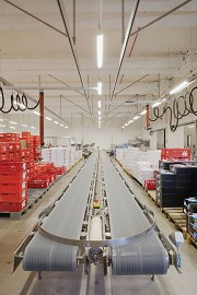 packaging-line at Husum slaughterhouse, D