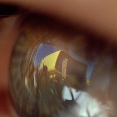 Zum Projekt Zum Projekt